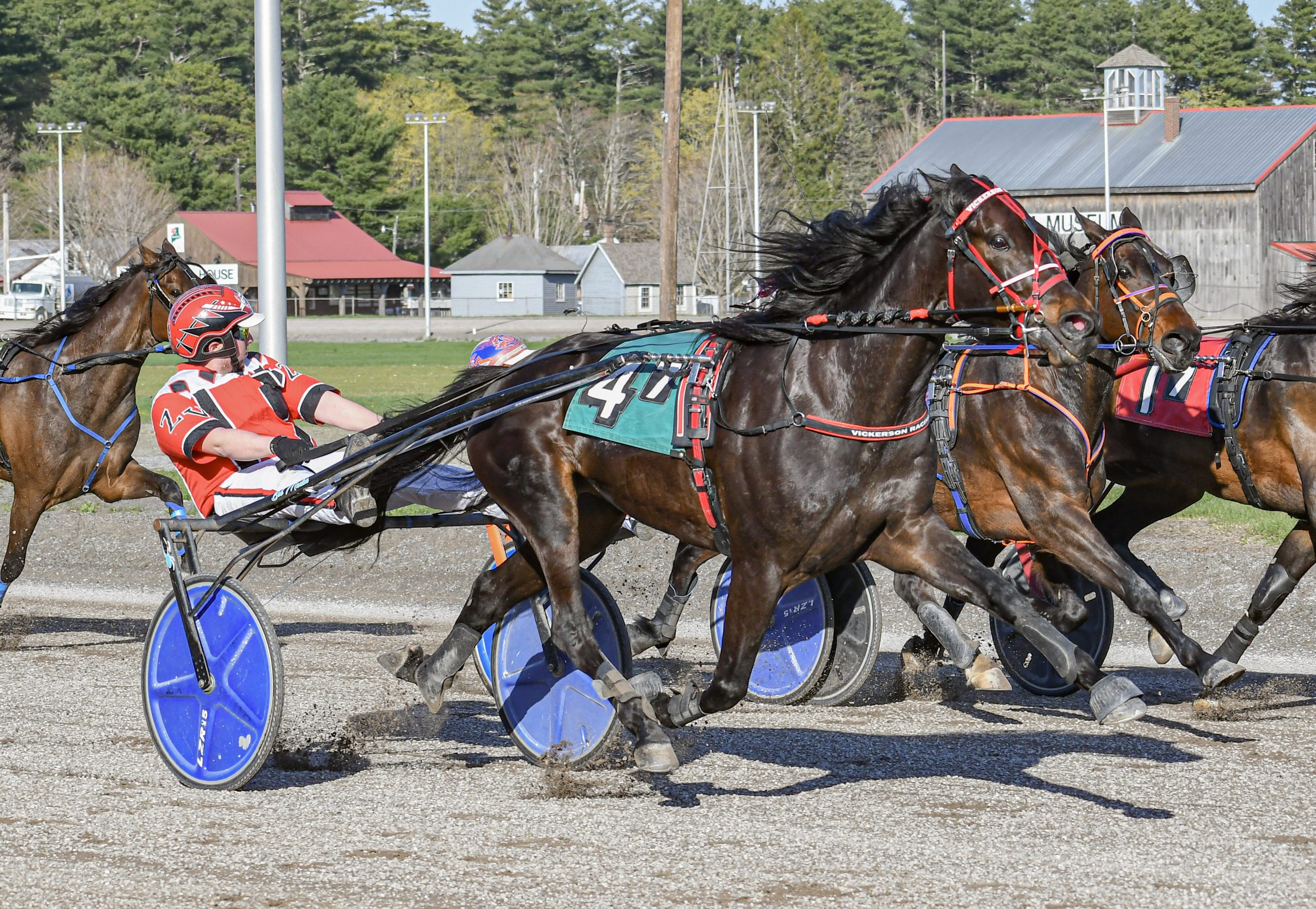 Big Al M back home and back in form