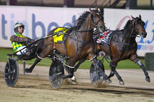 Captains Knock leads strong field into $60,000 Steel City Cup