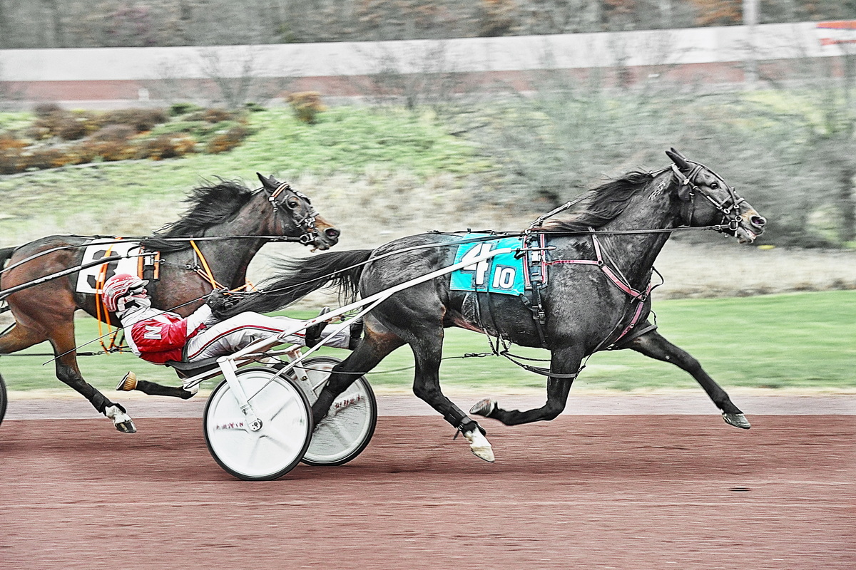 Choco Charlie ends runner up streak with powerful win