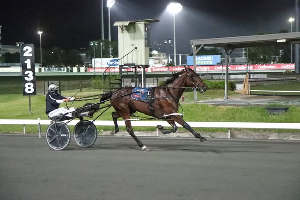 Cool And Classy too nifty as she closes in on half million dollars