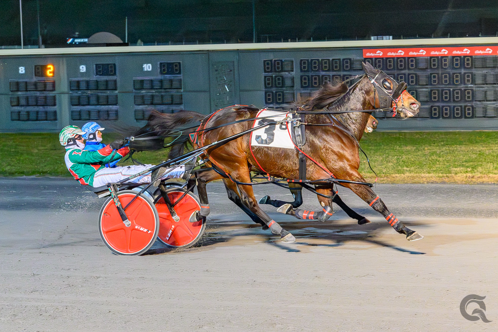 Disturbed Hanover scores 31-1 shocker