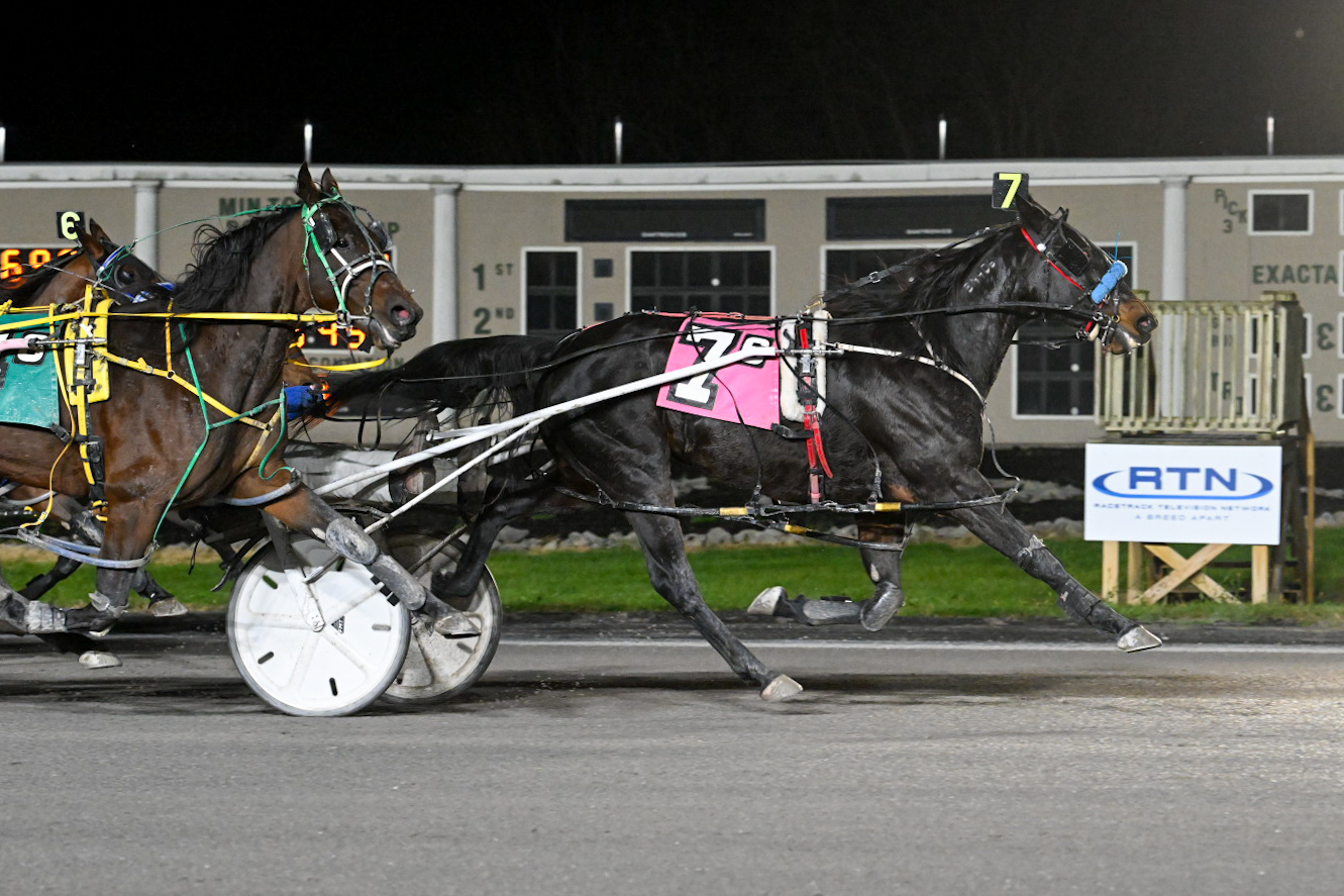 $65 upset – Unusual Clarity sweeps past rivals