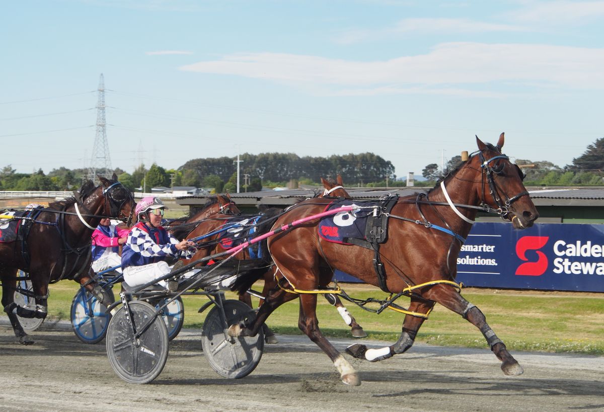 Giant pacer wins his nineth race