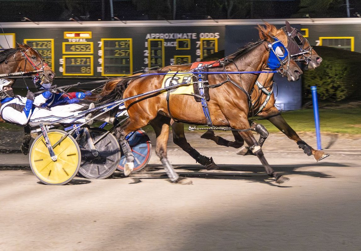 Dead-heat drama and 42-1 bomb highlight Saturday Card