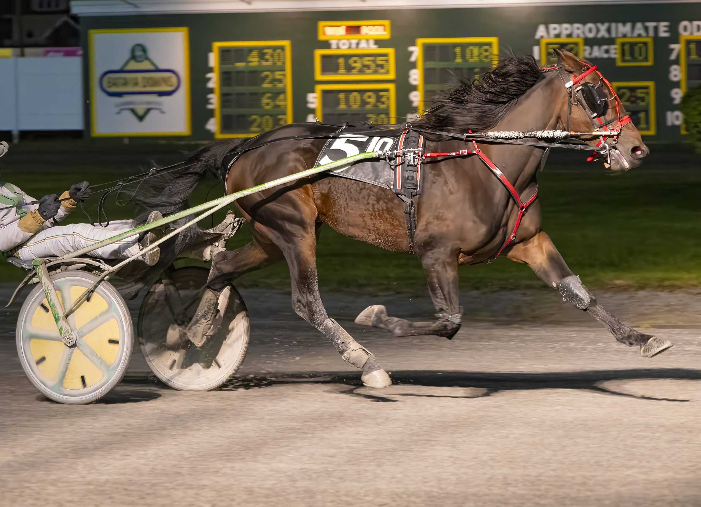El Toro Loco roars back to form