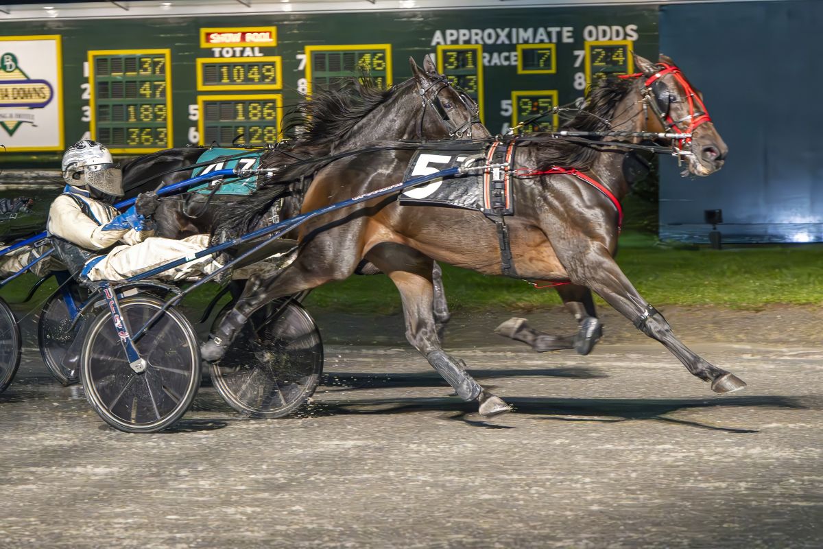 El Toro Loco, Stranger Things win on rain soaked Saturday