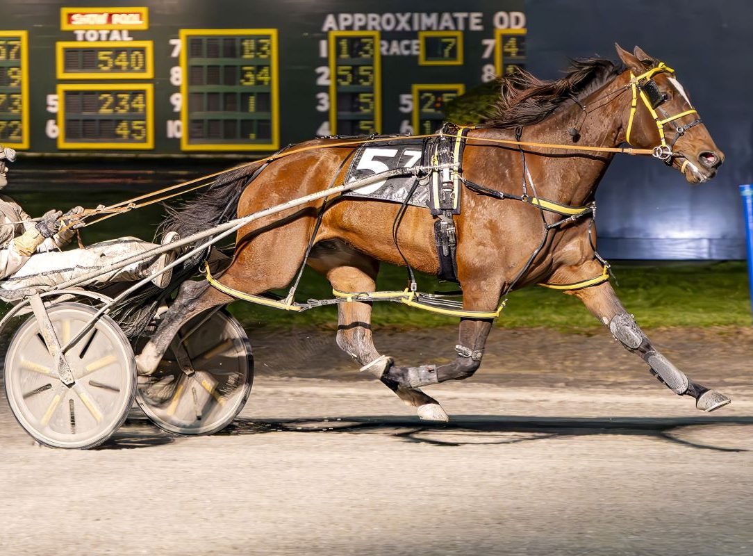 Elegant Woman A glides home for eighth win of the season