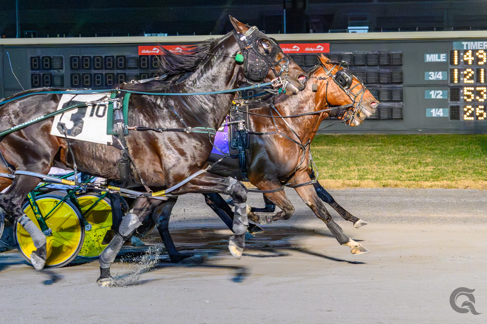 Late surge delivers shock Progress Pace victory for Fallout