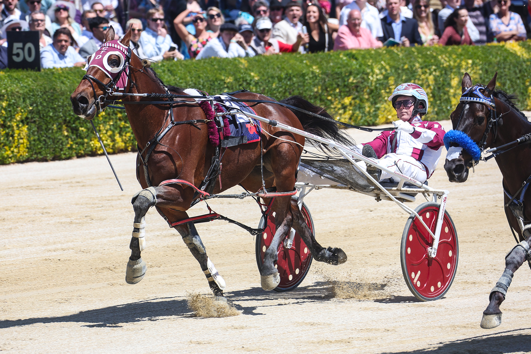 Sinatra sings at Addington
