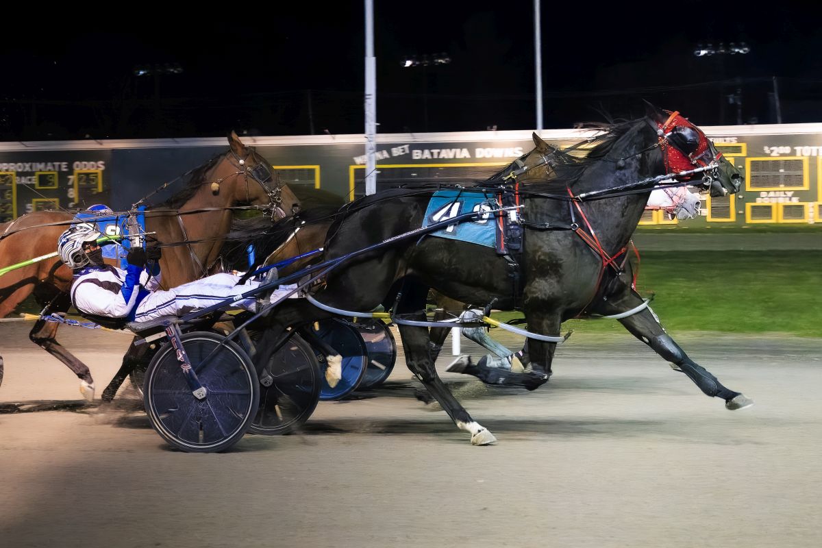 Face The Shadows recovers from break to score narrow win