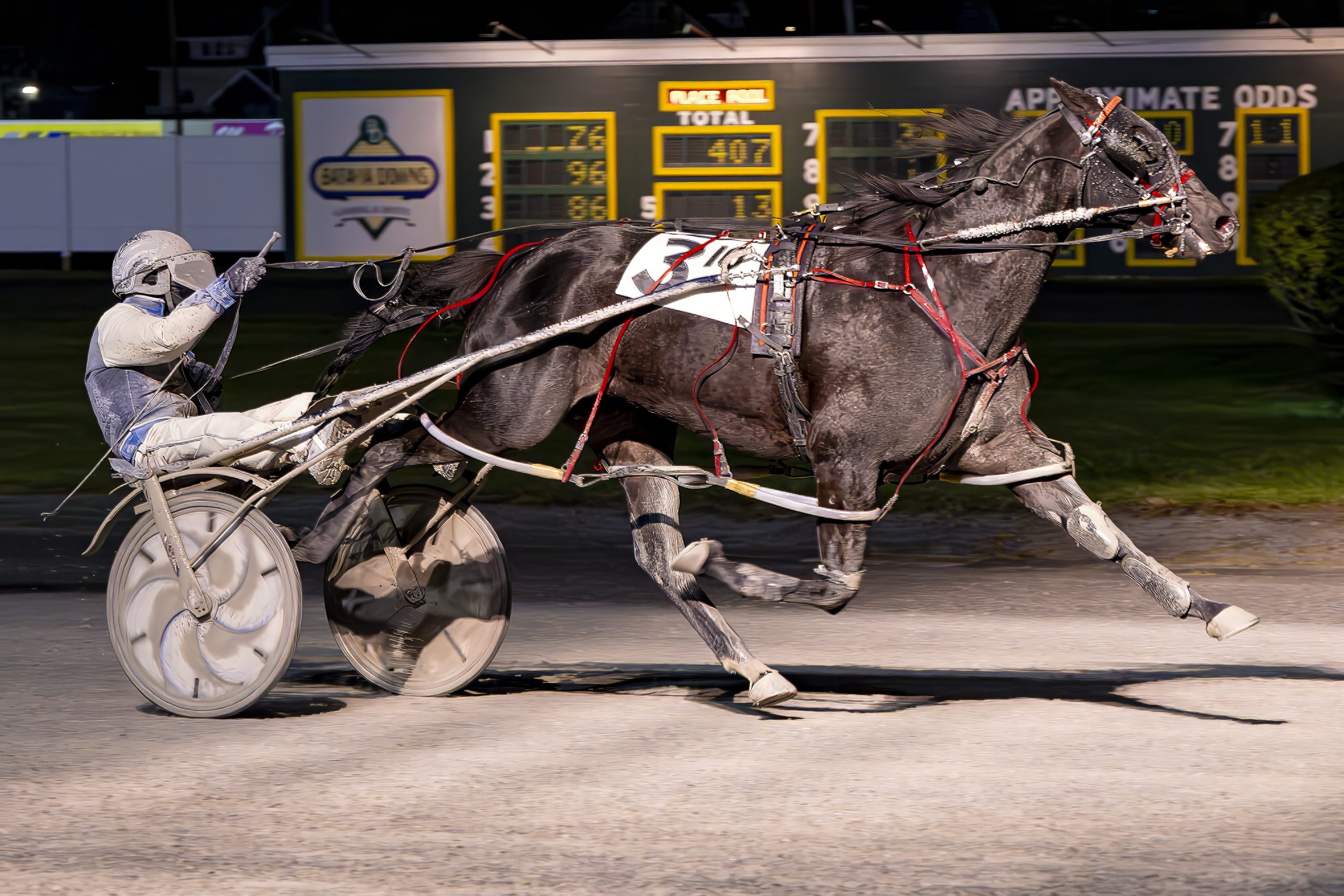 Face The Shadows handles weather and rivals