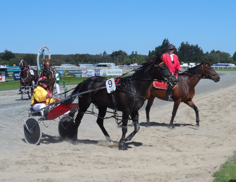 Franco Ledger and Hamish Hunter returning to the birdcage after his Invercargill Cup win (Bruce Stewart Photo)