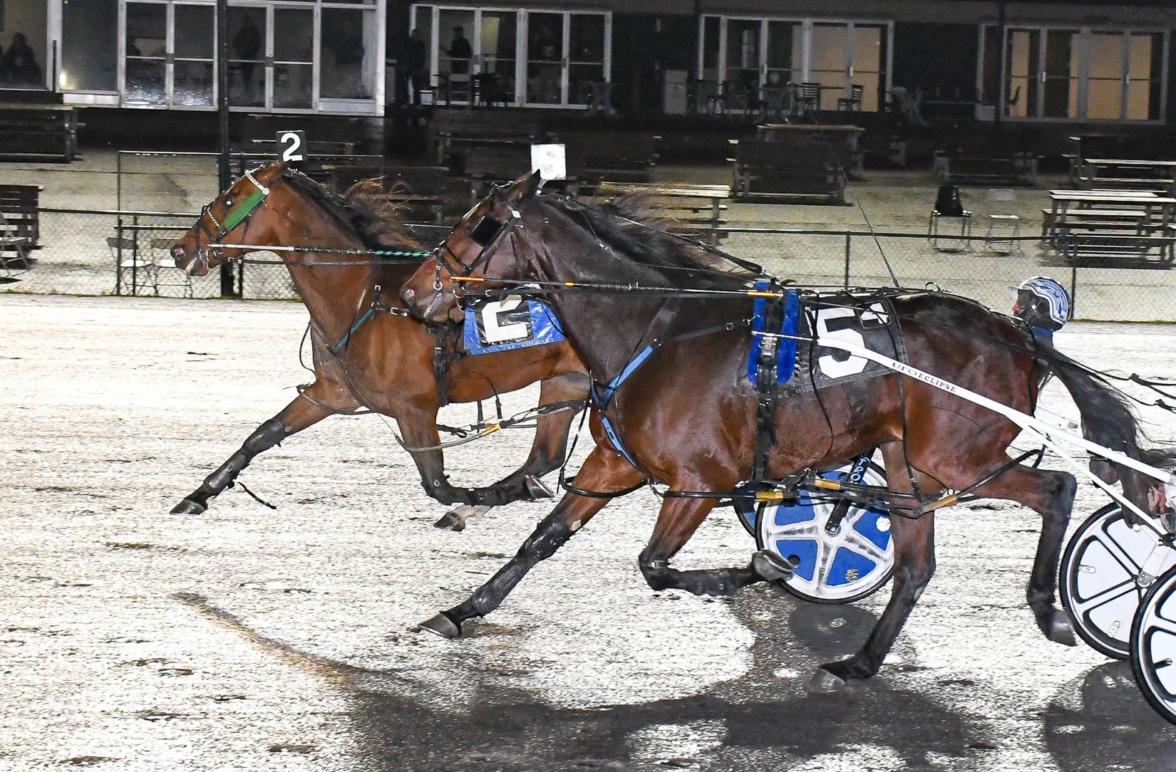 Gold Star Sven scores in Vernon finale