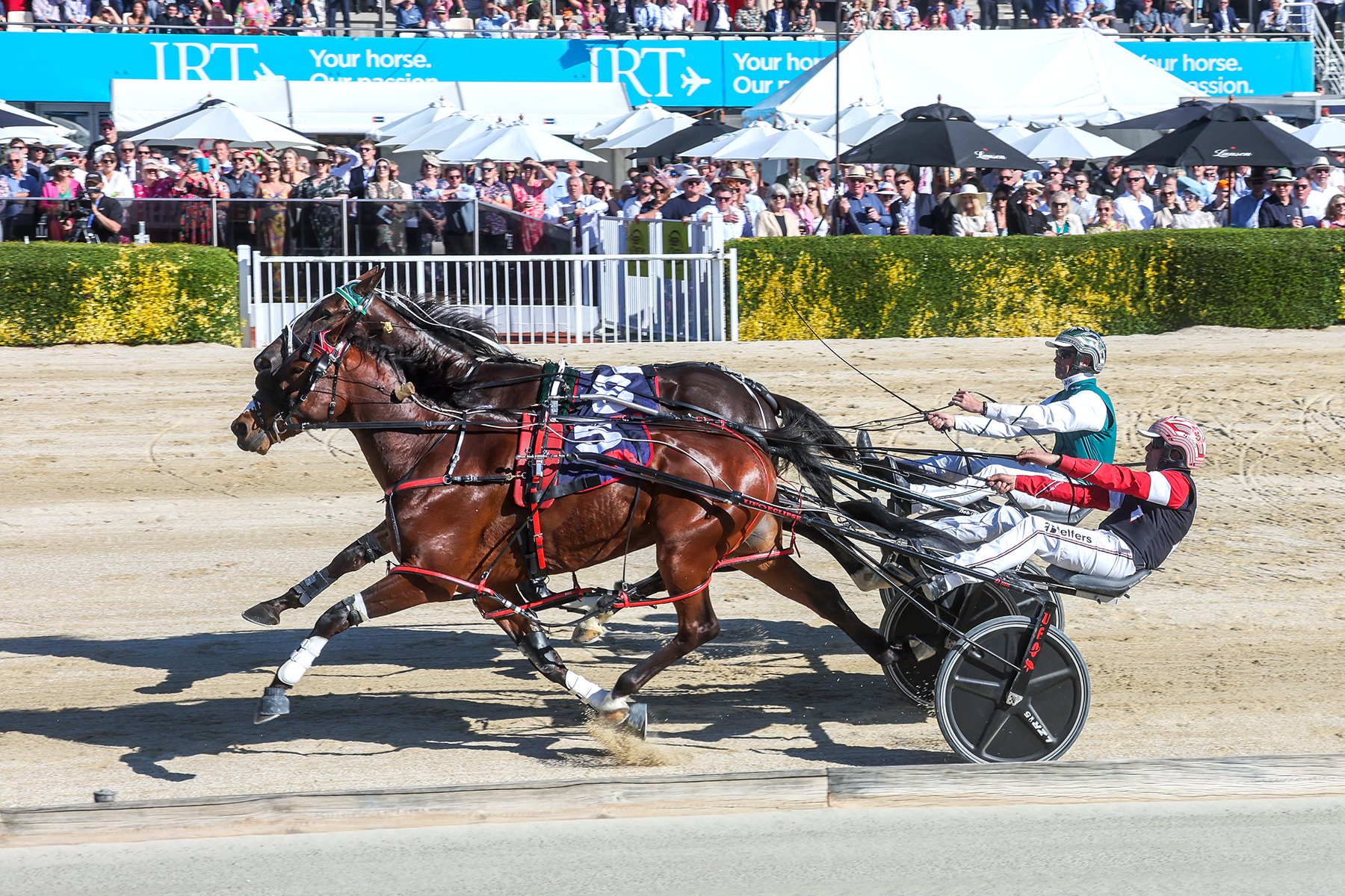 The faces of thirteen races – Cup Day pics