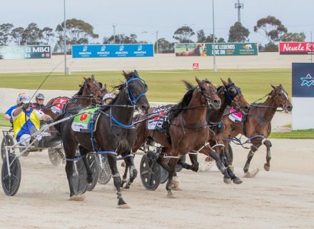 Its Confidential gets up in last stride in APG Vicbred Final.