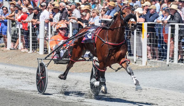 The Netherlands takes out Heat 4 of the World Driving Championship