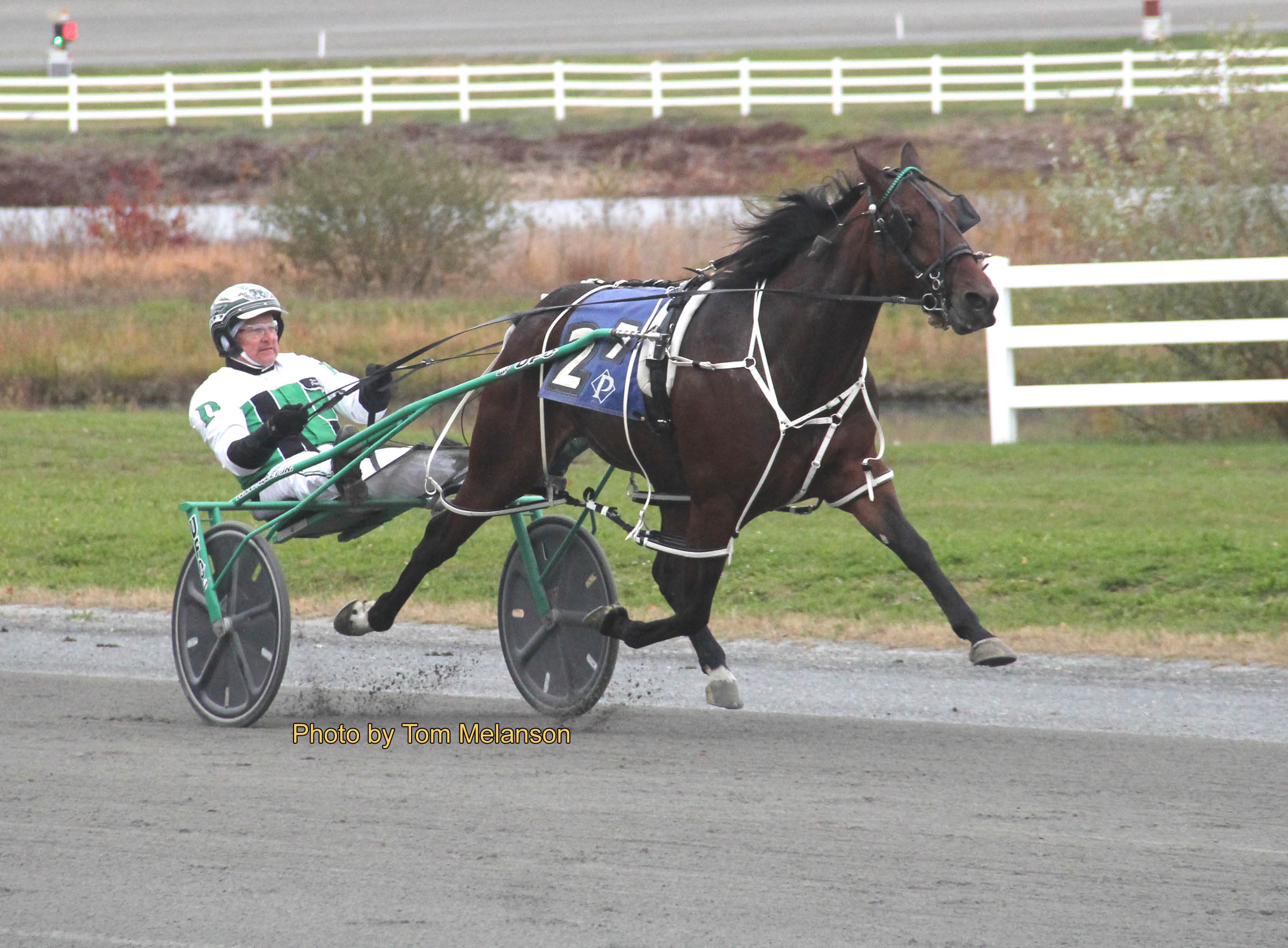 Jackies Boy, A New Leader throw big miles