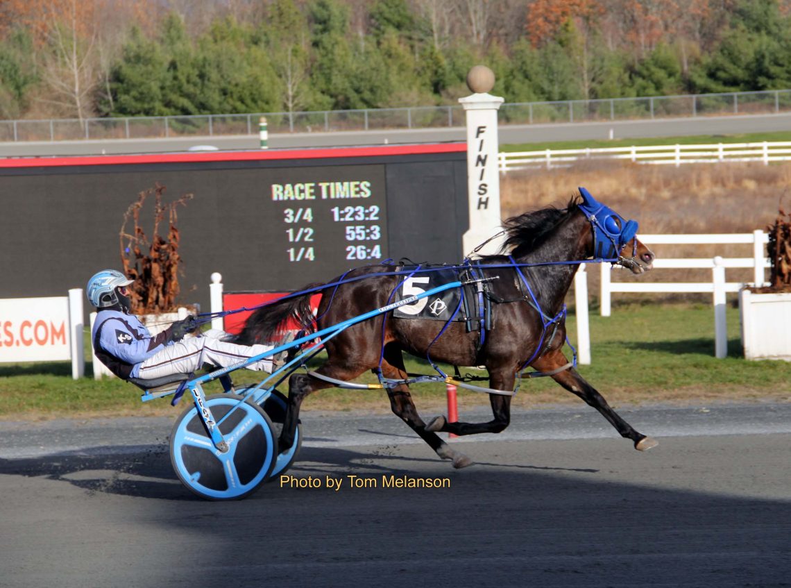 P L Pasquale goes lifetime best in third straight win at Plainridge