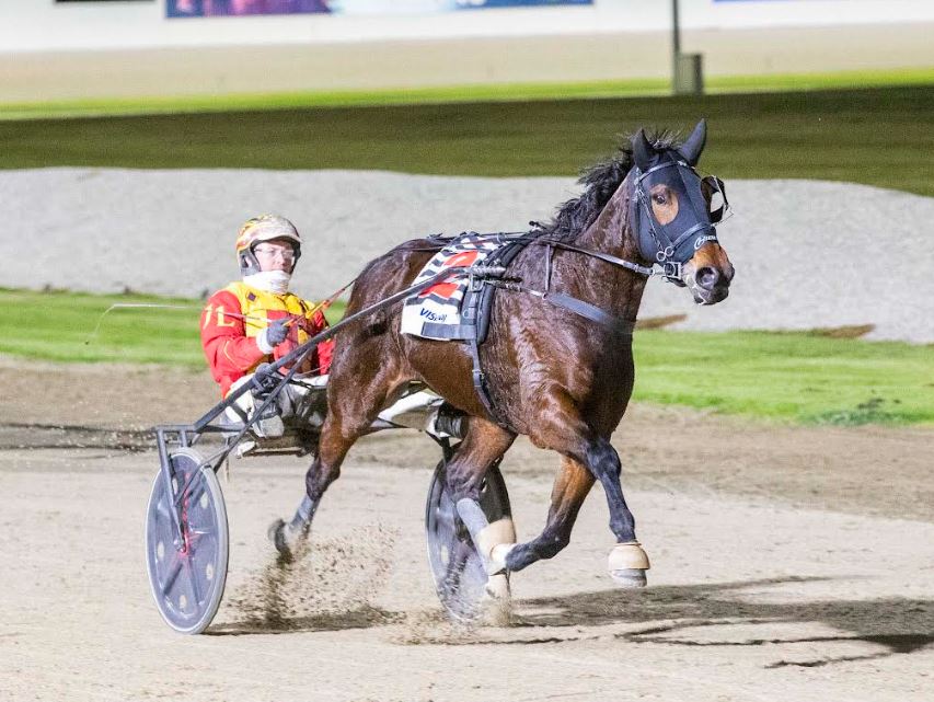 Jilliby Ballerini blitzes them