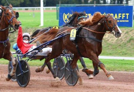 Kamehameha takes Grand National du Trot
