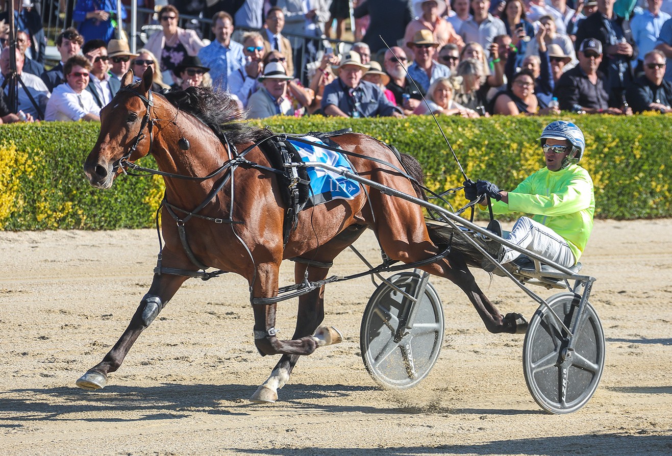 Cup winners target Bathurst, Bendigo and the Victorian Cup