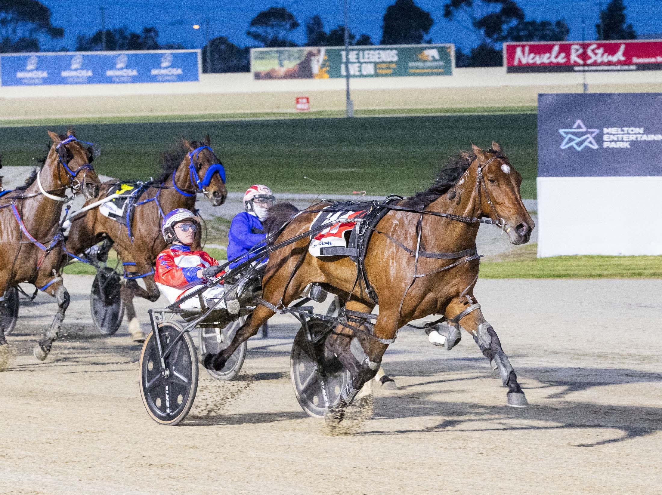 Sanderson’s ‘Dream Season’ rolls on into Vicbred Finals
