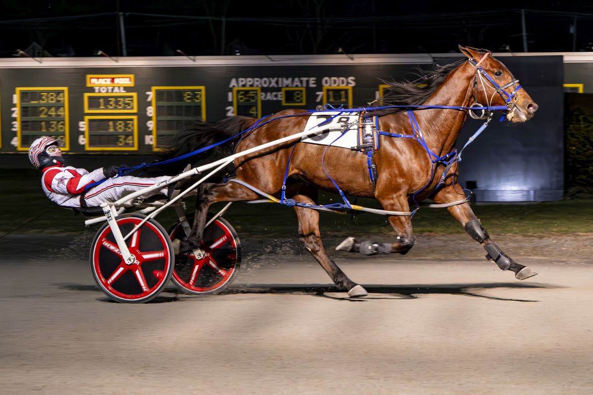 Crazy Ritz refuses to yield, Livonjaxnqueens in a romp