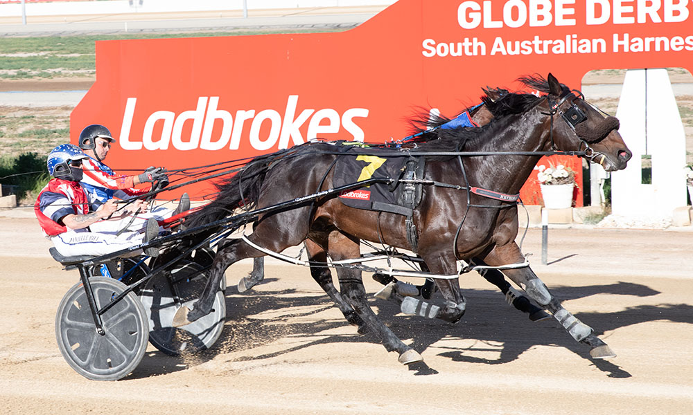 Lochinvar Magic shows his class in SA Sires Produce