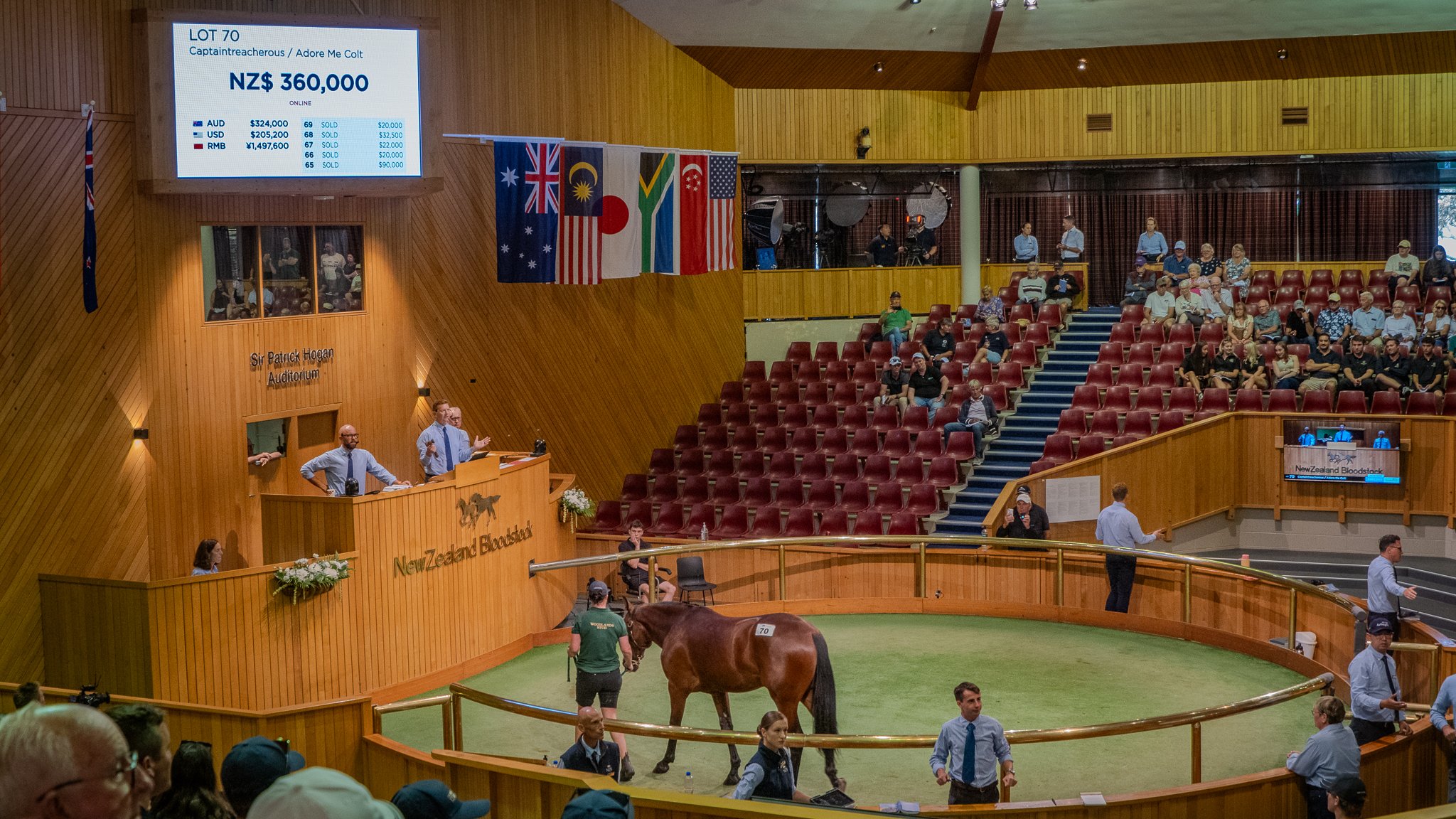 320 Lot Catalogue live for 2026 National Yearling Sale
