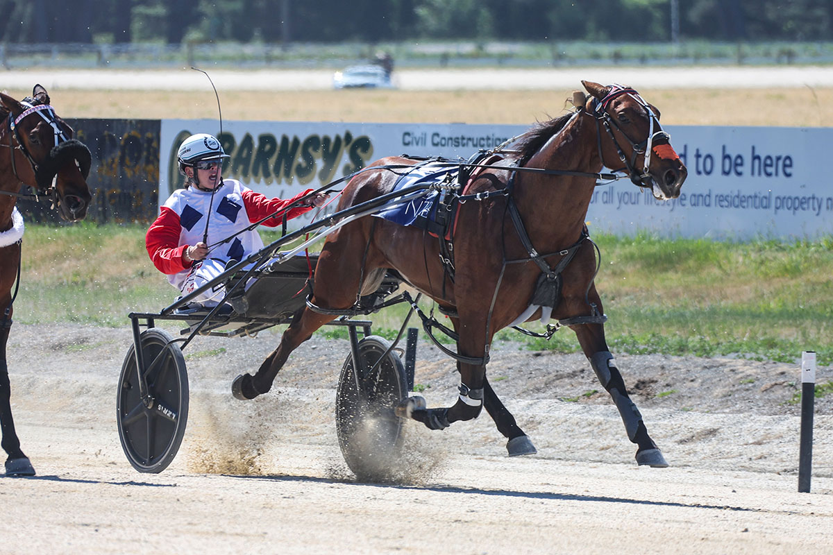 Major Happy rekindles memories of a great mare