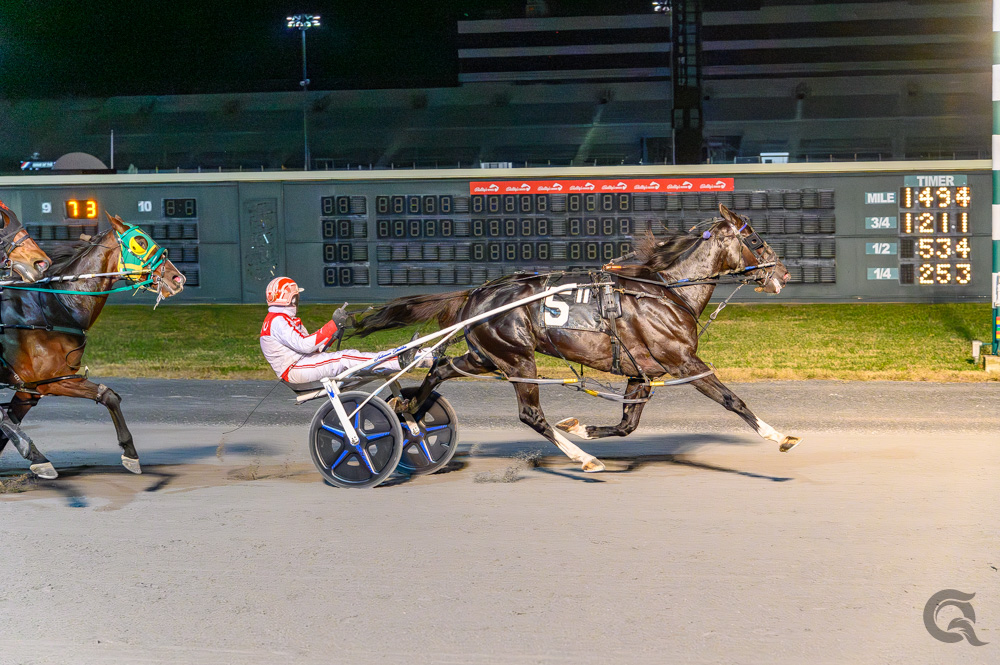Muskateer Hanover wires field in Blue Hen Open