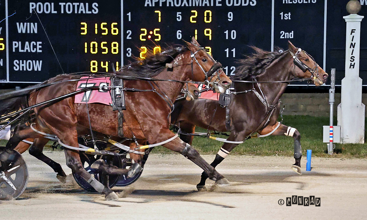 Buckeye fans celebrate as What A Buckeye cruises