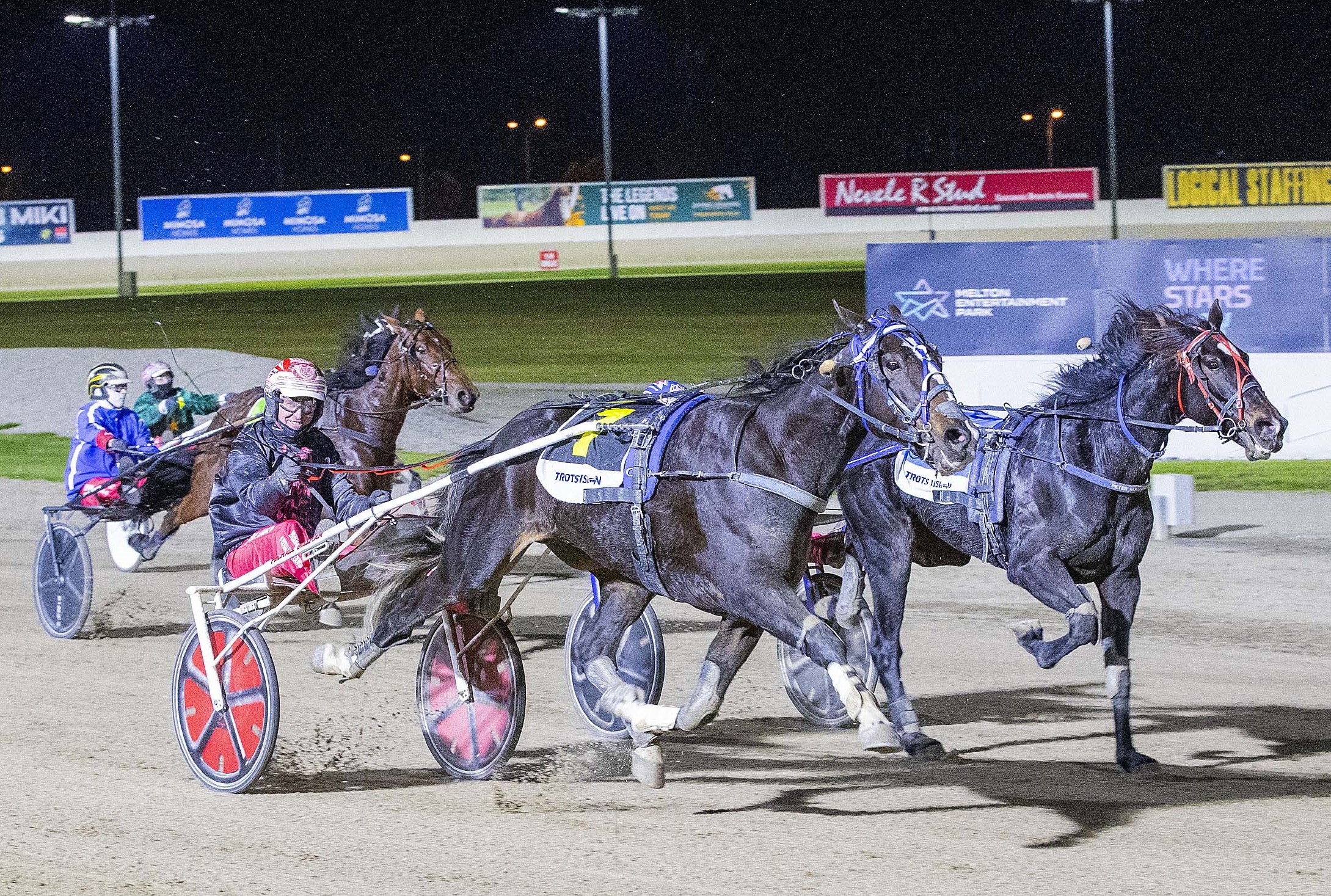 Bellman’s first Group 1 in Victoria Trotters Derby success