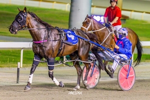 NZ owners cheer Minstrel into another WA Cup bid