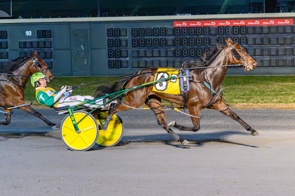 Odds On Put Option prevails in $110,000 Ramona Hubbard