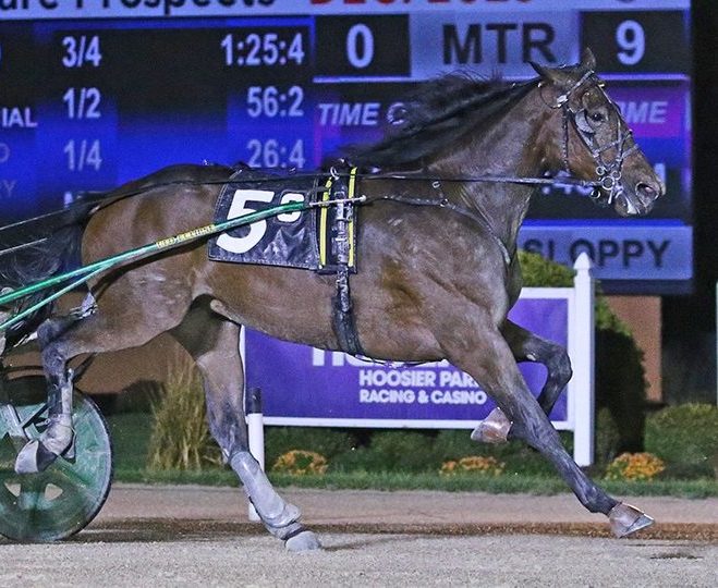 On To Norway splashes to his 22nd consecutive victory