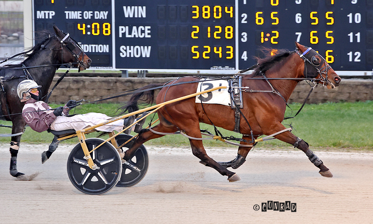 Lather Up gelding extends streak to five