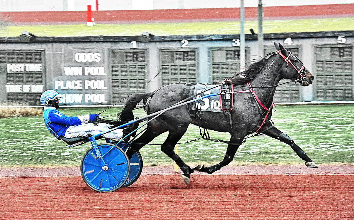 One After Nine stays perfect in Winter Is Coming series