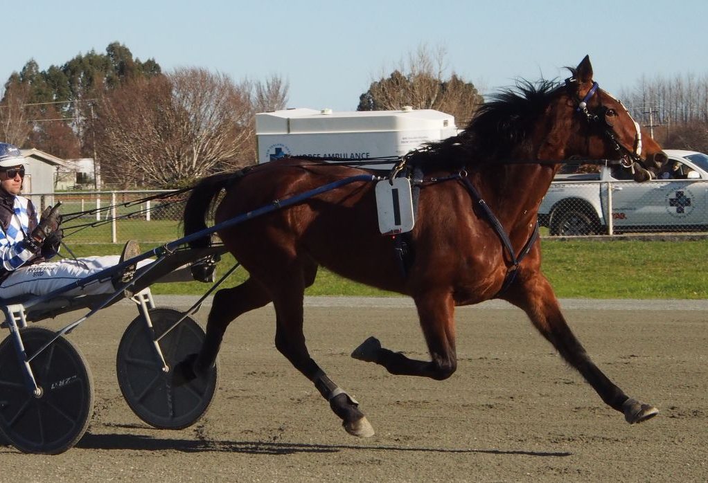 Penelope handle’s delay well