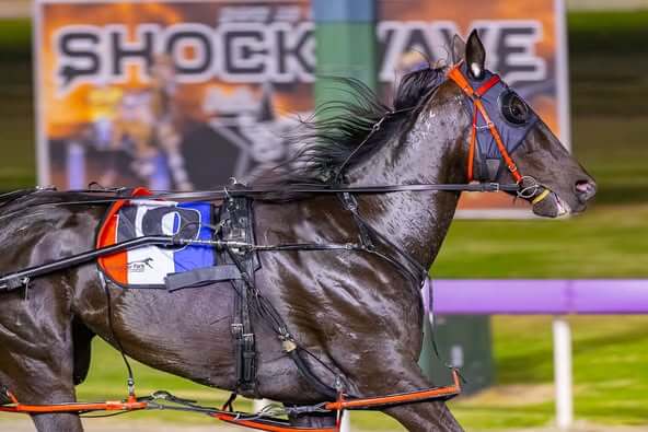 Penny Black’s determination to the fore in Norms Daughter classic