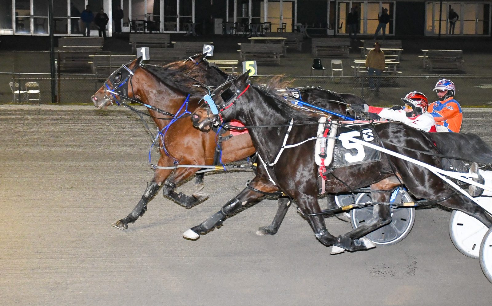 Long dominates with four wins