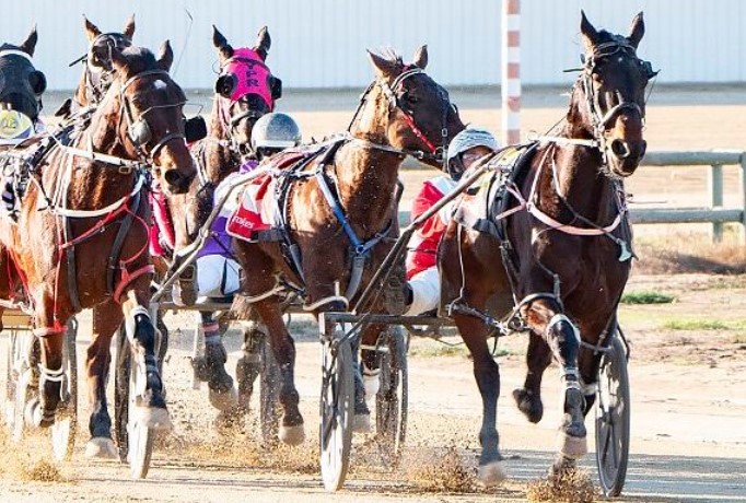Peter Marshall elected President of SA Harness Racing Club