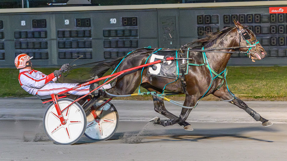 Slugger On Deck scores lifetime best in DSBF opening leg