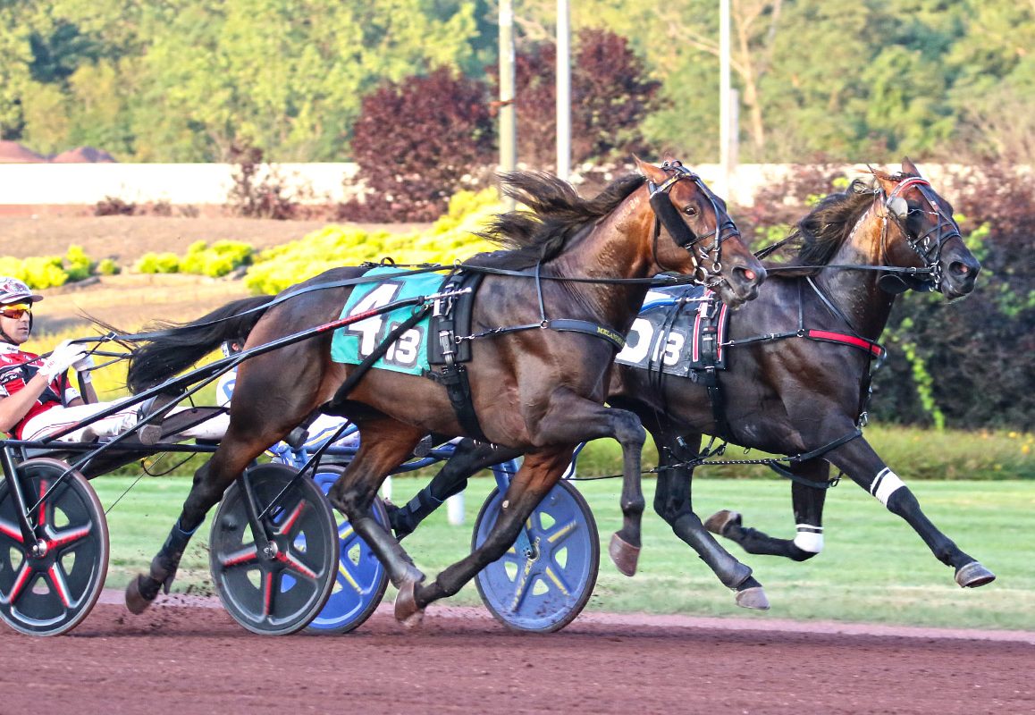 Super Chapter leads stellar cast of District 8 Award winners