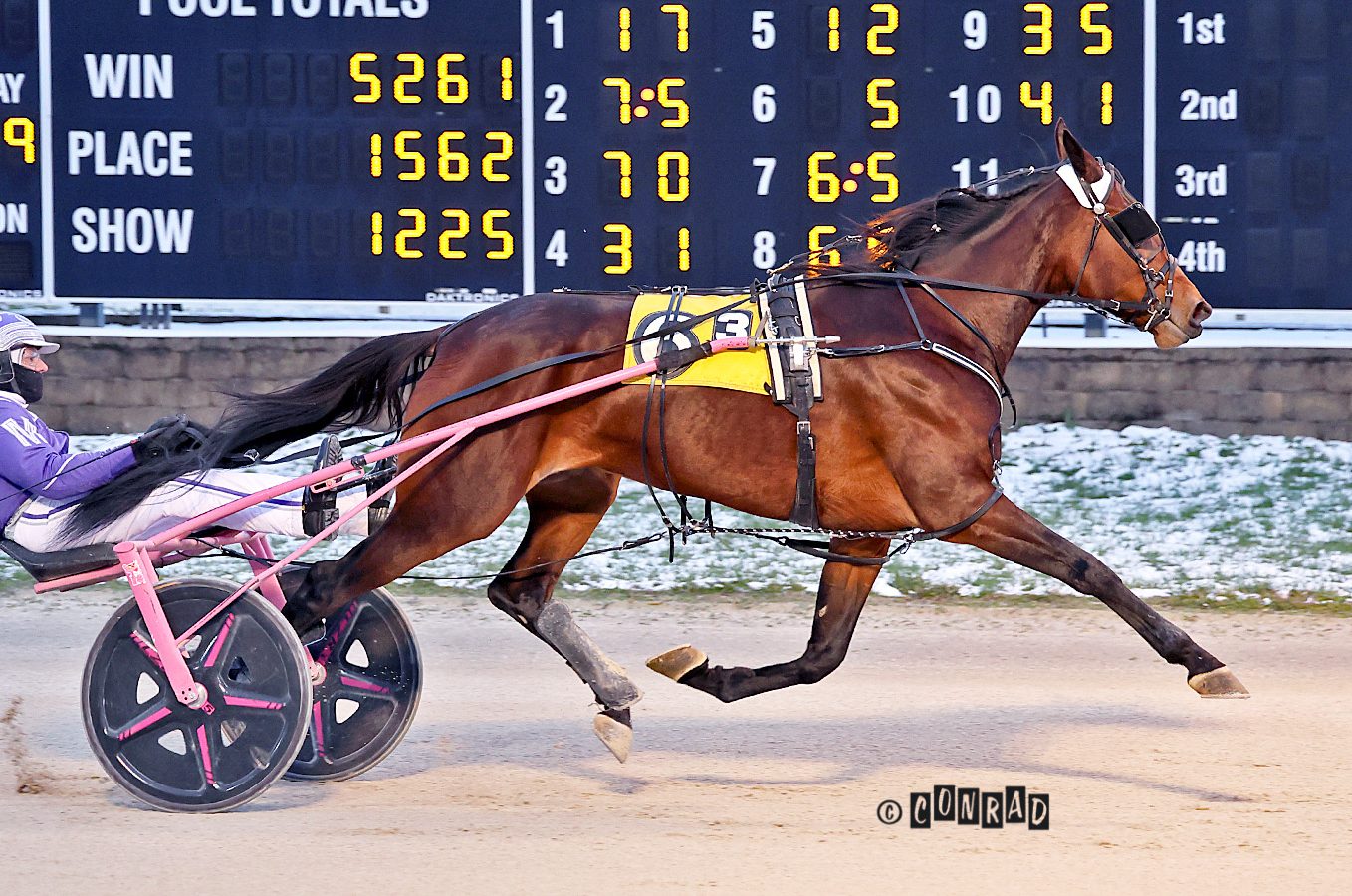 Southernsunshine cruises to Veterans Day victory