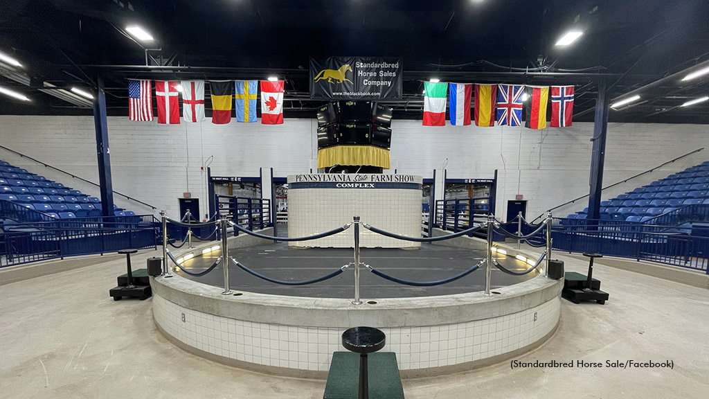 Standardbred Horse Sale day one live now