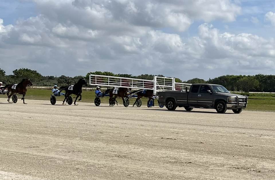 One for the books at Sunshine Meadows