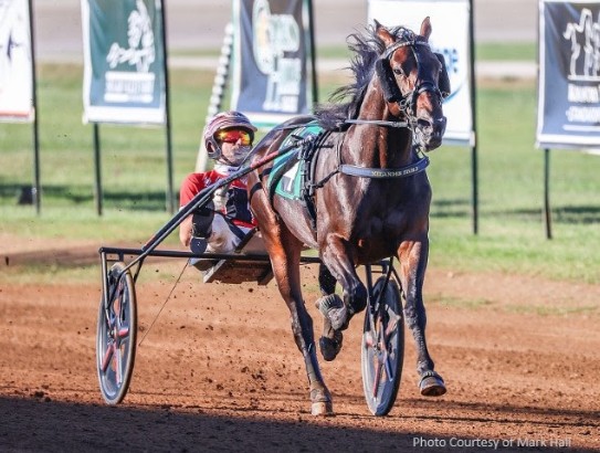 Super Chapter joins Hanover lineup as 2026 Service Fees released