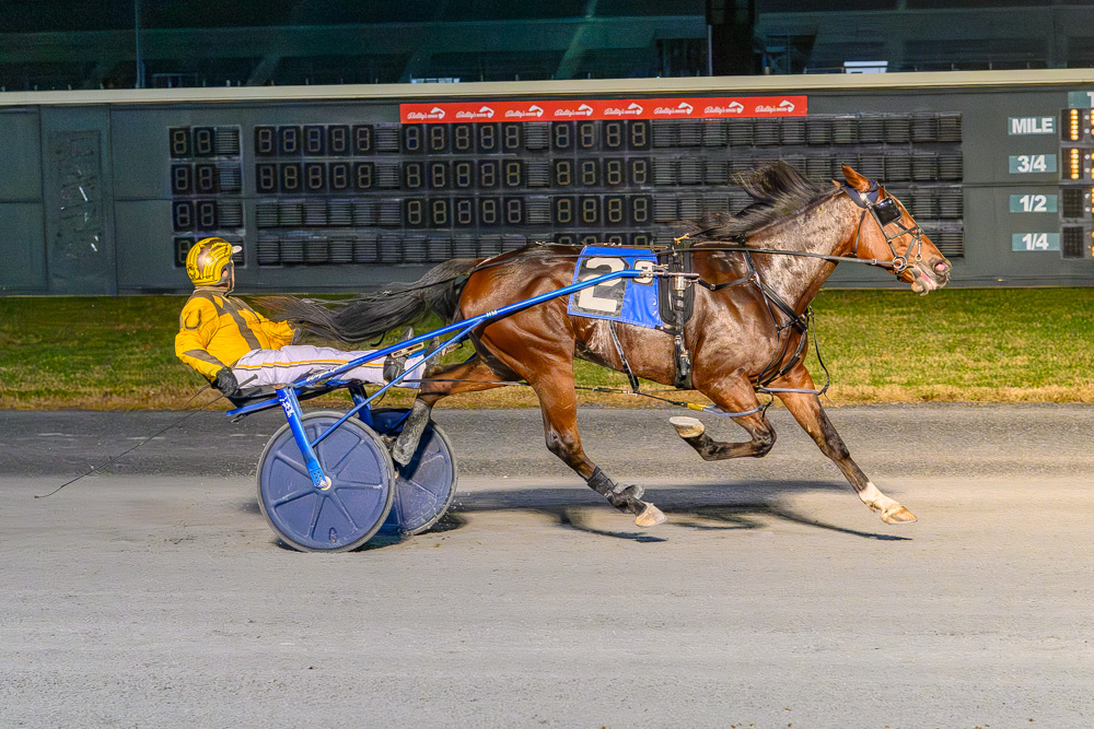 Thiskissformaryell completes perfect DSBF sweep with $110,000 win
