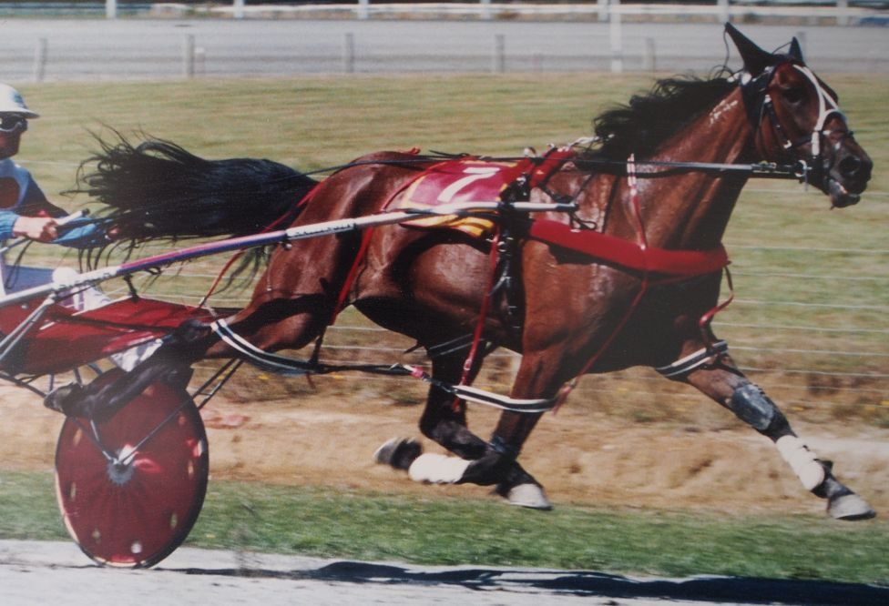 The Tough Nut – 2000 Invercargill Cup winner